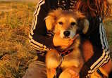 Zahar