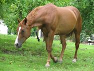 Atena
